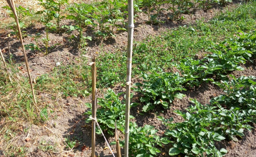 Le jardin des Ecouardes